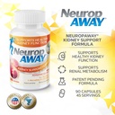 neuropaway-kidney-support-formula-sugar--6.jpg