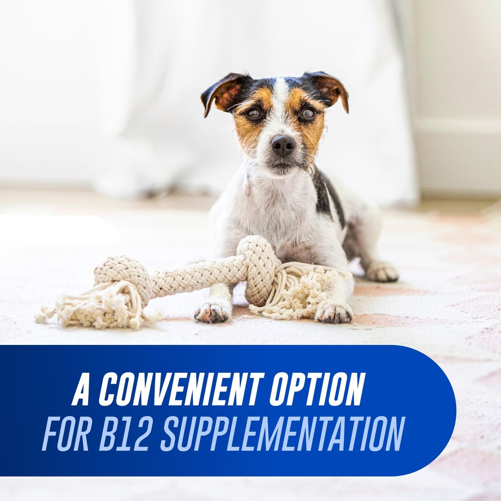 nutramax-laboratories-cobalequin-b12-sup-3.jpg