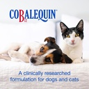 nutramax-laboratories-cobalequin-b12-sup-2.jpg