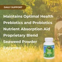 youngevity-ultimate-digest-fx-ultra-preb-4.jpg