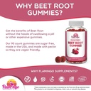 flamingo-supplements-sugar-free-nitric-o-3.jpg