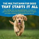 guardian-s-choice-vitapup-puppy-vitamins-4.jpg