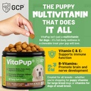 guardian-s-choice-vitapup-puppy-vitamins-2.jpg