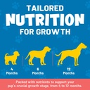 guardian-s-choice-vitapup-puppy-vitamins-3.jpg