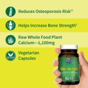 garden-of-life-raw-calcium-supplement-fo-2.jpg