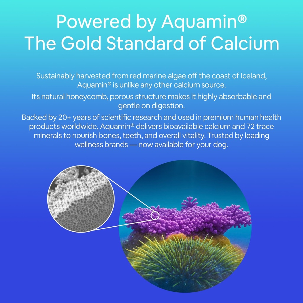 seaweed-calcium-powder-for-dogs-and-cats-3.jpg