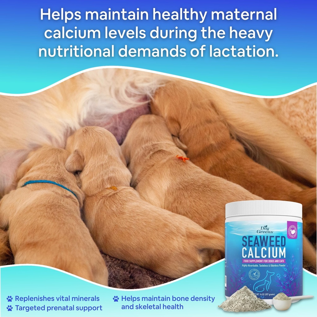 seaweed-calcium-powder-for-dogs-and-cats-5.jpg