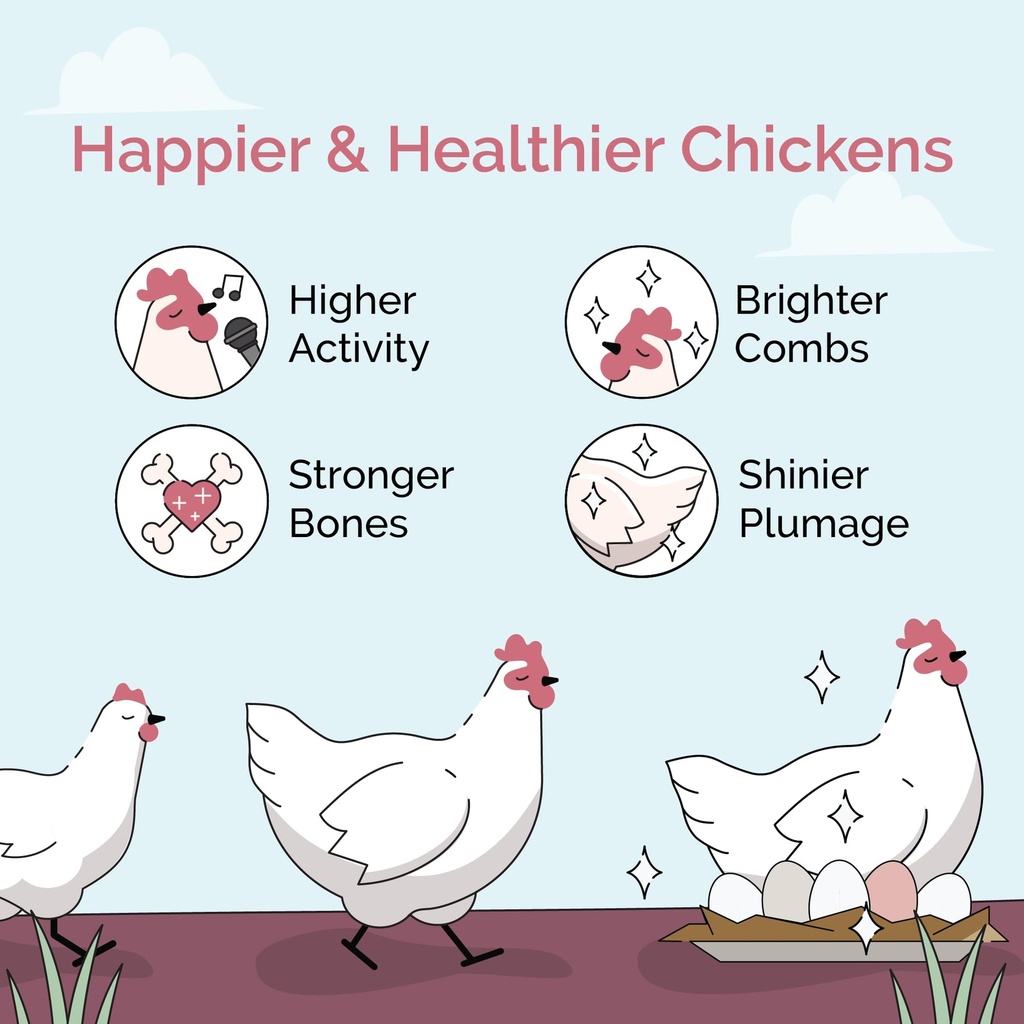 mile-four-oyster-shell-for-chickens-calc-3.jpg