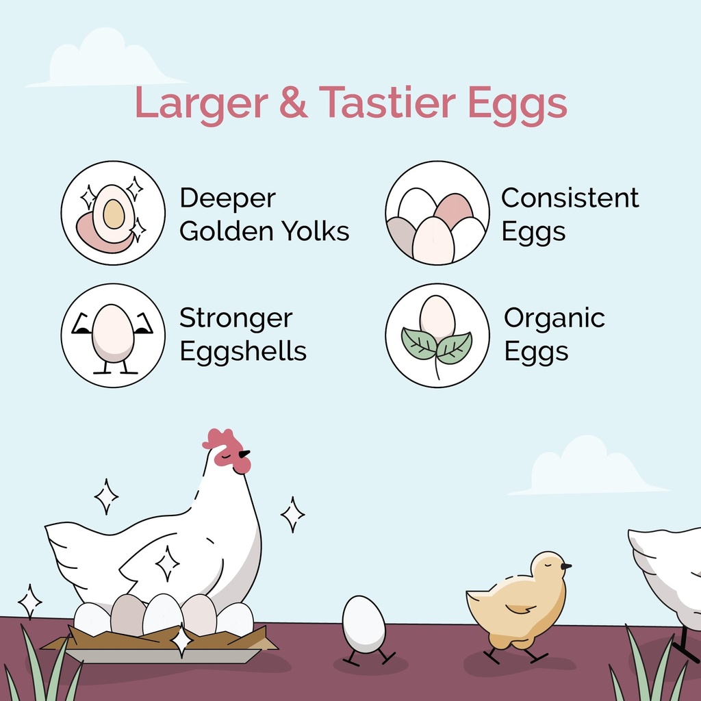 mile-four-oyster-shell-for-chickens-calc-2.jpg