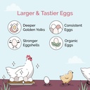 mile-four-oyster-shell-for-chickens-calc-2.jpg