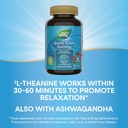nature-s-way-quick-calm-gummies-l-theani-3.jpg