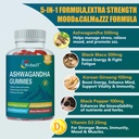 ashwagandha-gummies-with-l-theanine-blac-5.jpg