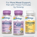 solaray-st-john-s-wort-900-mg-once-daily-6.jpg
