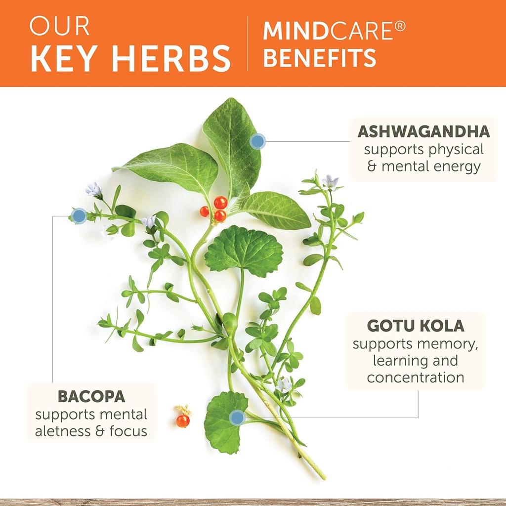 himalaya-mindcare-nootropic-herbal-brain-4.jpg