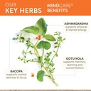 himalaya-mindcare-nootropic-herbal-brain-4.jpg