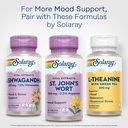solaray-st-johns-wort-aerial-extract-one-6.jpg