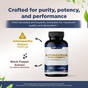 gade-nutrition-ashwagandha-supplements-e-3.jpg