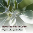 micro-ingredients-organic-ashwagandha-ro-5.jpg