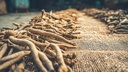 u-s-wellness-naturals-organic-ashwagandh-5.jpg