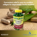 ashwagandha-500mg-root-powder-60-capsule-6.jpg