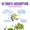 ashwagandha-supplements-premium-ashwagan-3.jpg
