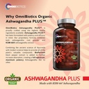 omnibiotics-organic-ashwagandha-suppleme-4.jpg