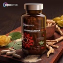 omnibiotics-organic-ashwagandha-suppleme-3.jpg