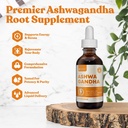 rejuvica-health-active-ashwagandha-advan-2.jpg