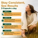 vahdam-ashwagandha-supplement-1800mg-wit-4.jpg