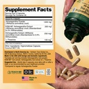 vahdam-ashwagandha-supplement-1800mg-wit-3.jpg