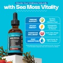 ashwagandha-turmeric-liquid-drops-vitami-2.jpg
