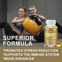 therasuva-superior-potency-ashwagandha-2-4.jpg