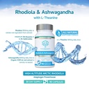 rhodiola-ashwagandha-with-l-theanine-awa-3.jpg