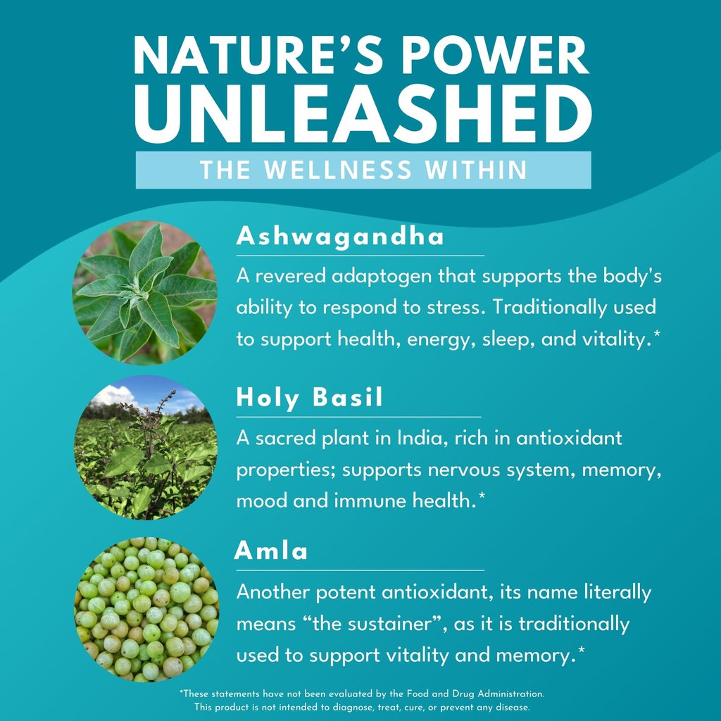 bold-botanica-ashwagandha-plus-ashwagand-6.jpg