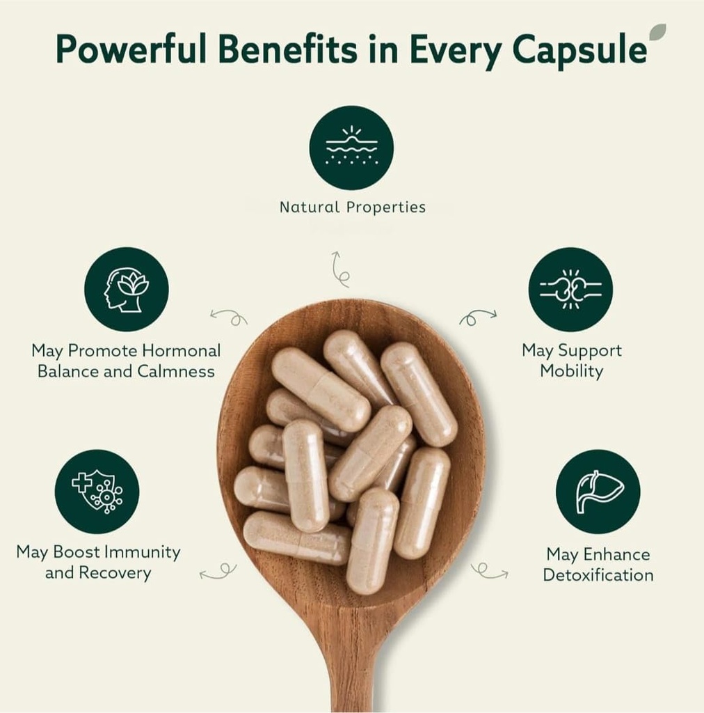 ashwagandha-supplement-1000-mg-noogandha-4.jpg