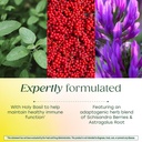 megafood-ashwagandha-complex-formerly-st-4.jpg
