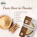 ashwagandha-root-powder-16-oz-100-natura-4.jpg