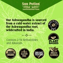 sun-potion-ashwagandha-root-extract-powd-4.jpg