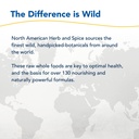 north-american-herb-spice-ashwagandha-60-6.jpg
