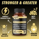 ashwagandha-extract-capsules-7-herbal-in-3.jpg