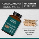 ashwagandha-tablets-5000mg-90-count-indi-2.jpg