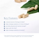 akshar-ayurveda-ashwagandha-capsules-wit-3.jpg