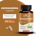 pure-ashwagandha-capsules-500mg-for-ener-2.jpg