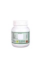 ashwagandha-powder-churna-classical-ayur-2.jpg