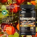 soundhealth-organic-ashwagandha-capsules-4.jpg