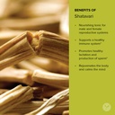 banyan-botanicals-organic-shatavari-powd-5.jpg