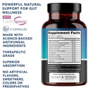 candida-cleanse-supplement-yeast-support-2.jpg