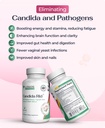 candida-rid-herbal-supplement-with-orega-4.jpg