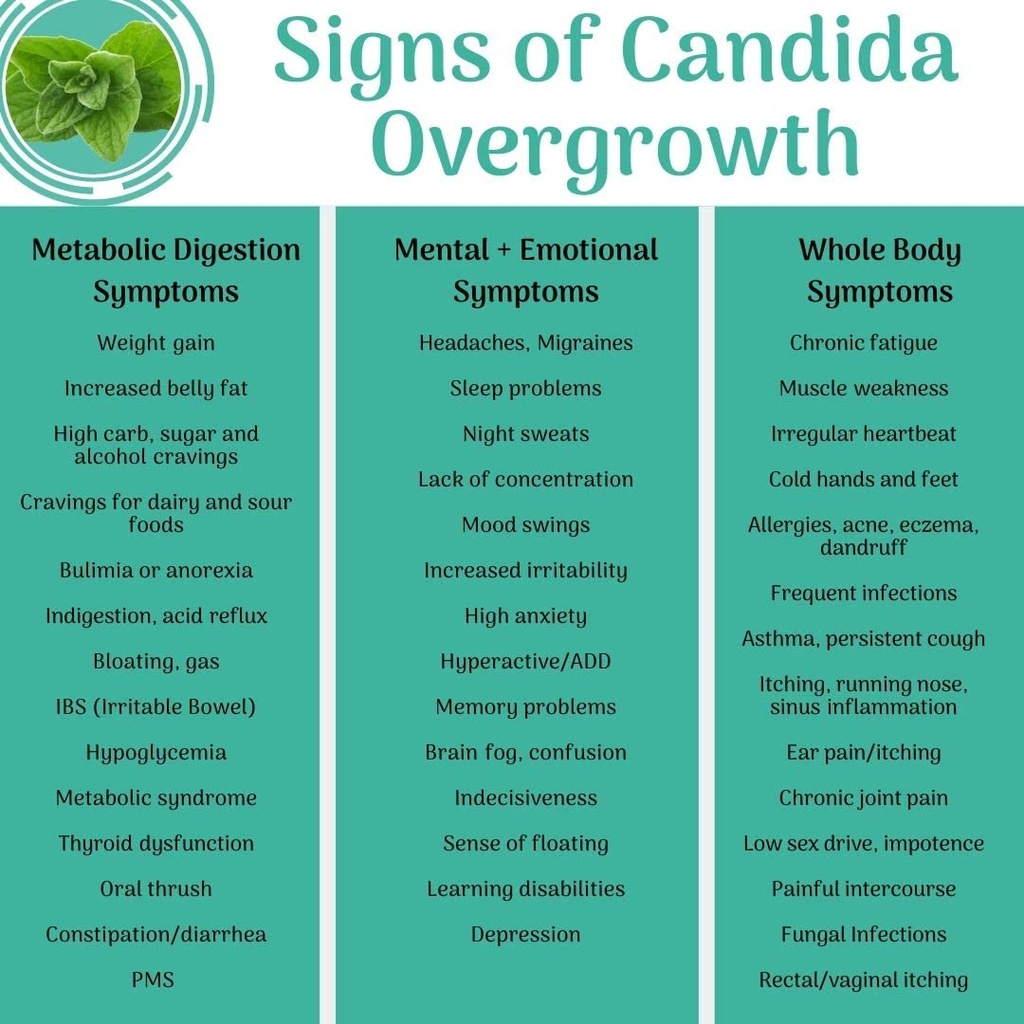 candida-support-aids-digestion-intestina-3.jpg