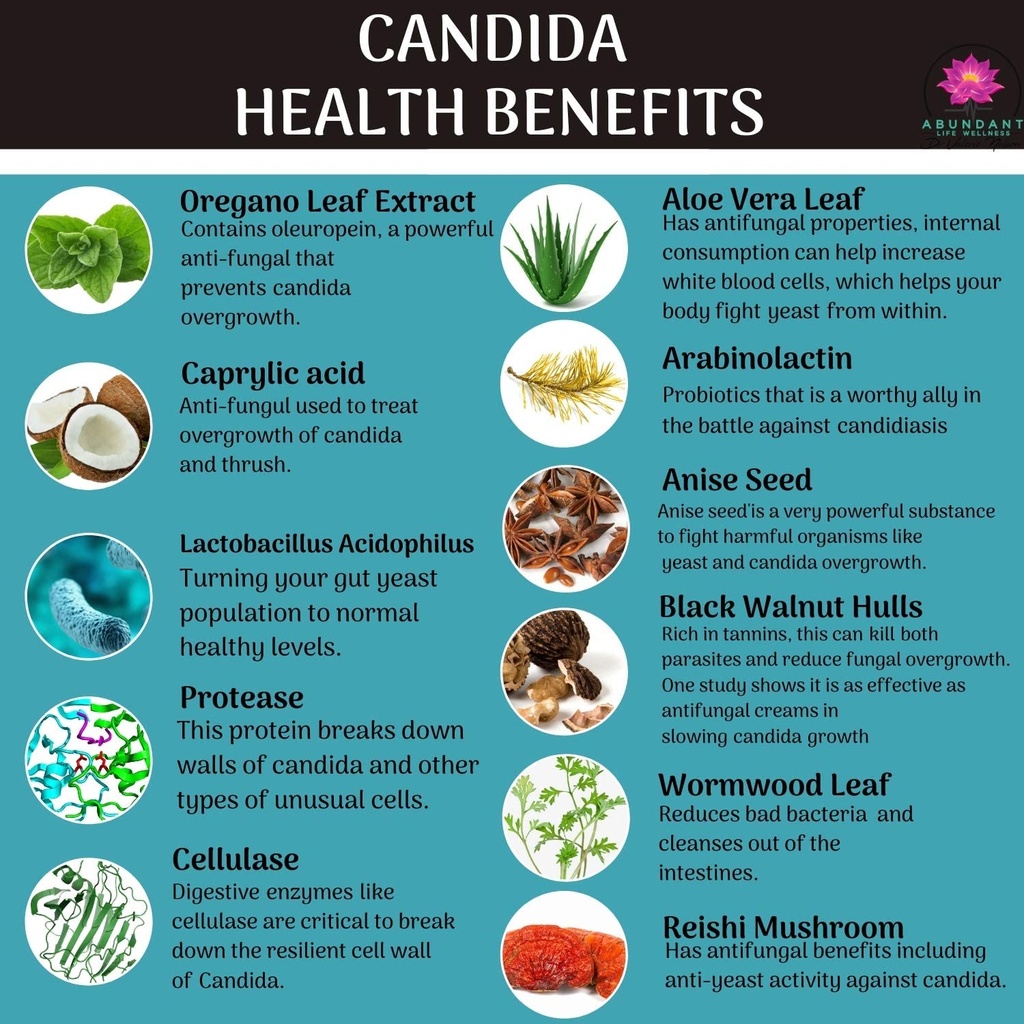 candida-support-aids-digestion-intestina-4.jpg